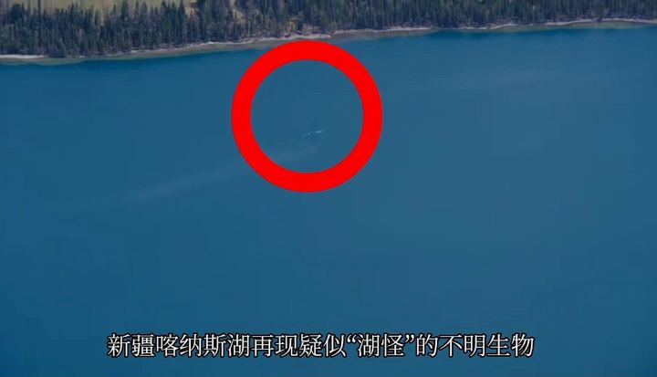 央视曝光喀纳斯湖水怪看长度或超百米真有这么大的生物吗