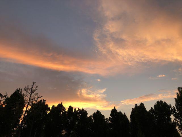 后日小满，老人说：“小满日进参，三做三不做”，分别指的是啥？