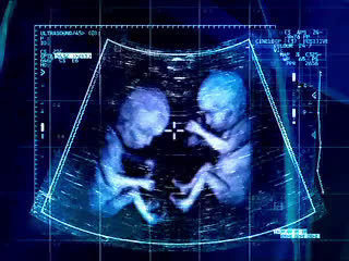 听说 是情侣们的大日子？