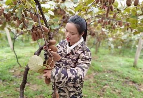 90后返乡大学生种地视频火了 用短视频带领千户乡民致富休闲区蓝鸢梦想 - Www.slyday.coM 90后返乡大学生种地视频火了 用短视频带领千户乡民致富休闲区蓝鸢梦想 - Www.slyday.coM