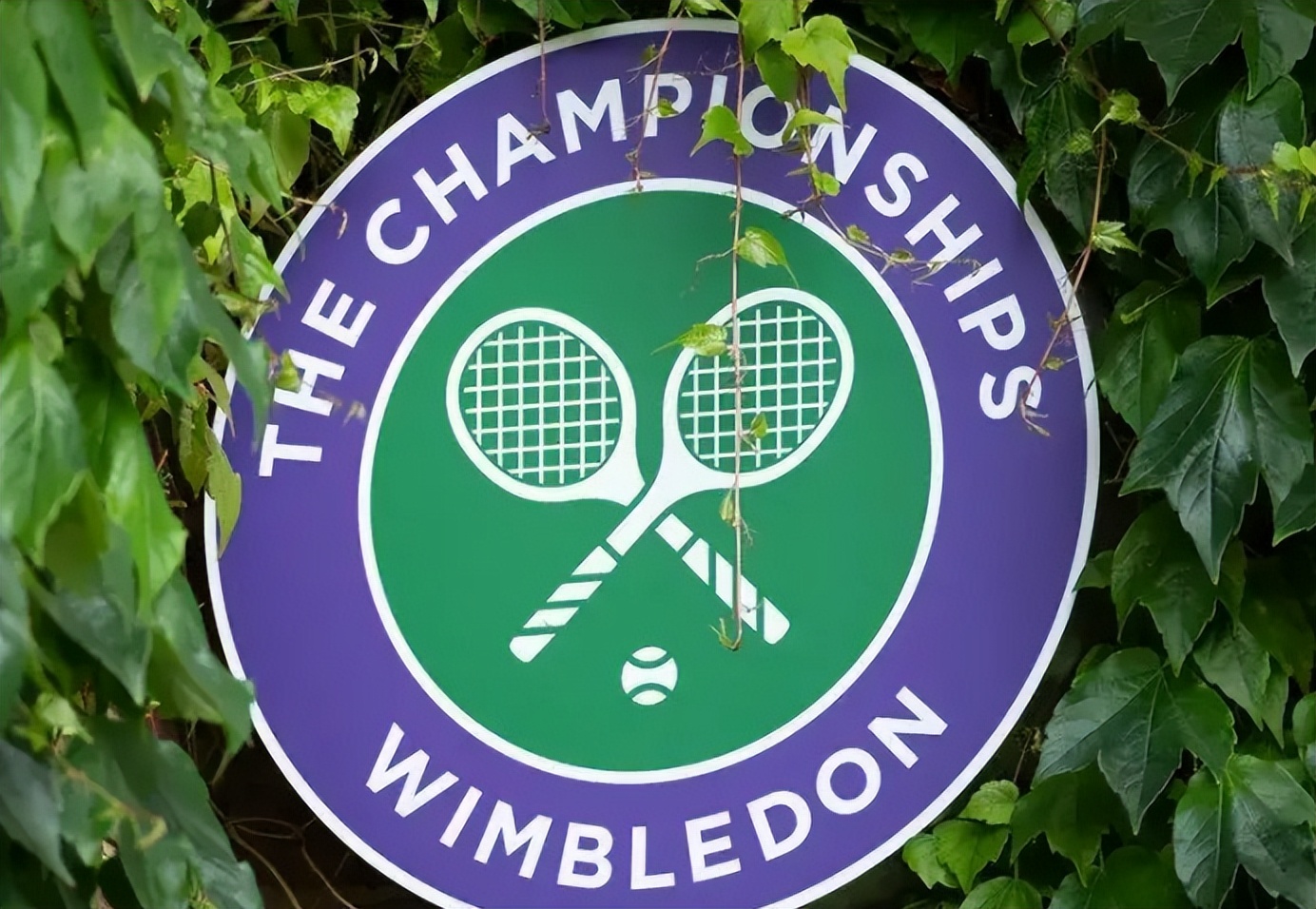 阿尔卡拉斯险胜德约科维奇实现卫冕壮举