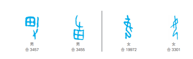 甲骨文里“男”“女”两个字(《说解汉字一百五十讲》内页插图)