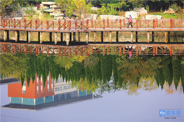 喜迎省第十二次党代会丨厚植大河之洲的生态底色——省第十一次党代会以来东营生态文明建设综述休闲区蓝鸢梦想 - Www.slyday.coM 喜迎省第十二次党代会丨厚植大河之洲的生态底色——省第十一次党代会以来东营生态文明建设综述休闲区蓝鸢梦想 - Www.slyday.coM