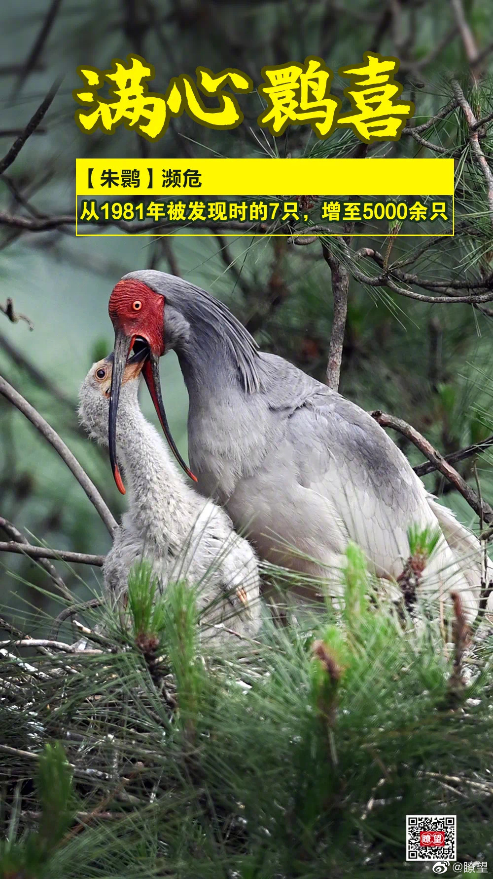 自由飞翔的鸟完整版 acb1-c57b0231dba49c1b0d34fe5b1961a46f.jpg