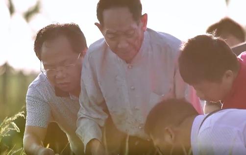 袁隆平院士逝世一周年,南山音乐人深情吟唱“禾下乘凉梦”休闲区蓝鸢梦想 - Www.slyday.coM 袁隆平院士逝世一周年,南山音乐人深情吟唱“禾下乘凉梦”休闲区蓝鸢梦想 - Www.slyday.coM