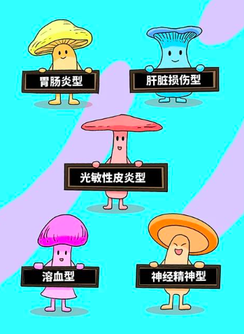 男子采 6 朵白色蘑菇食用险丧命,路边的野菇不要采啊!休闲区蓝鸢梦想 - Www.slyday.coM 男子采 6 朵白色蘑菇食用险丧命,路边的野菇不要采啊!休闲区蓝鸢梦想 - Www.slyday.coM