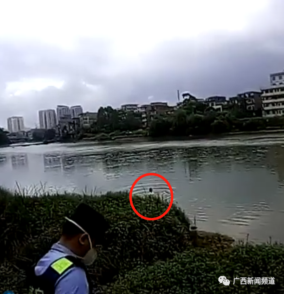 因宠物猫患重病,防城港一女孩跳江轻生!所幸被警方救回休闲区蓝鸢梦想 - Www.slyday.coM 因宠物猫患重病,防城港一女孩跳江轻生!所幸被警方救回休闲区蓝鸢梦想 - Www.slyday.coM