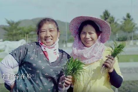 袁隆平院士逝世一周年,南山音乐人深情吟唱“禾下乘凉梦”休闲区蓝鸢梦想 - Www.slyday.coM 袁隆平院士逝世一周年,南山音乐人深情吟唱“禾下乘凉梦”休闲区蓝鸢梦想 - Www.slyday.coM