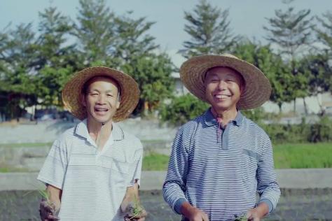 袁隆平院士逝世一周年,南山音乐人深情吟唱“禾下乘凉梦”休闲区蓝鸢梦想 - Www.slyday.coM 袁隆平院士逝世一周年,南山音乐人深情吟唱“禾下乘凉梦”休闲区蓝鸢梦想 - Www.slyday.coM