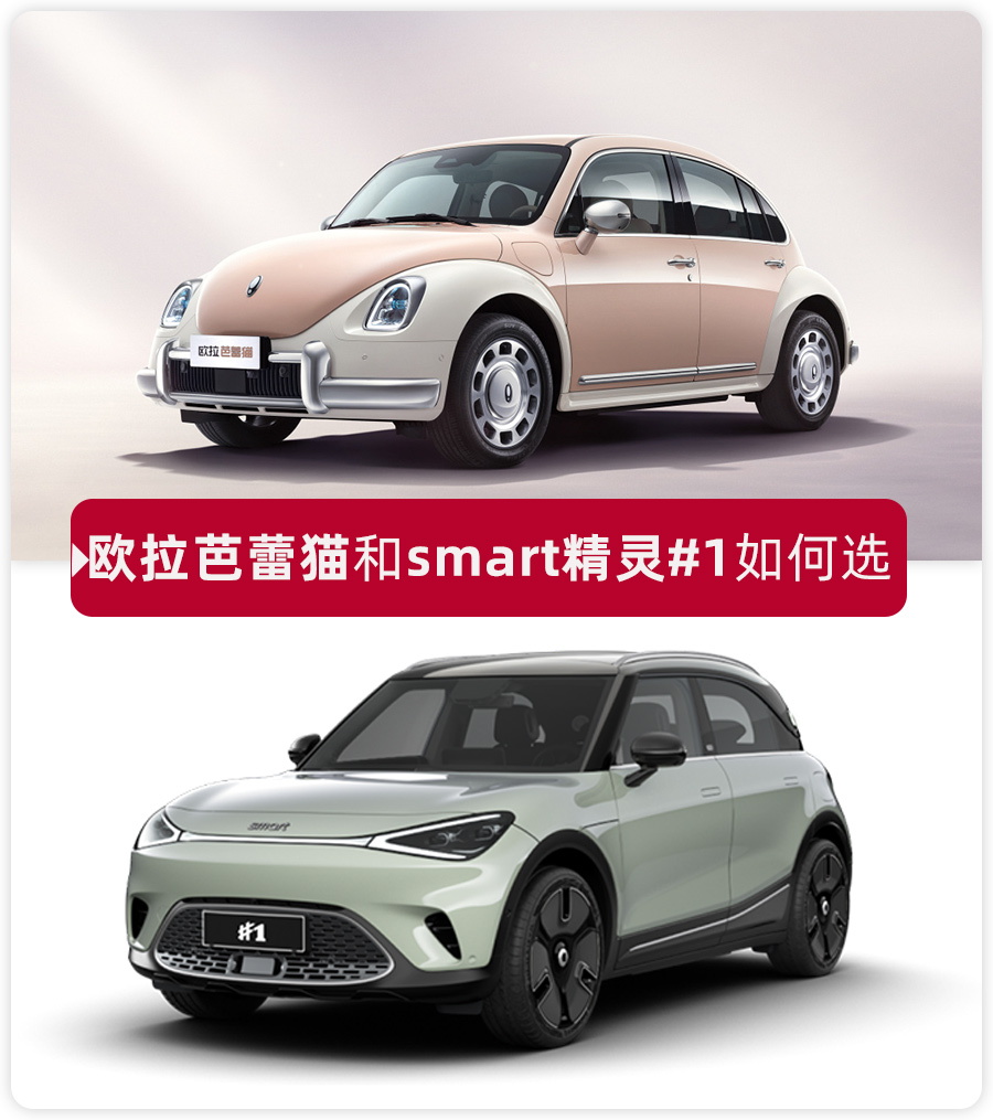 预算20万左右,欧拉芭蕾猫和smart精灵1选谁更合适