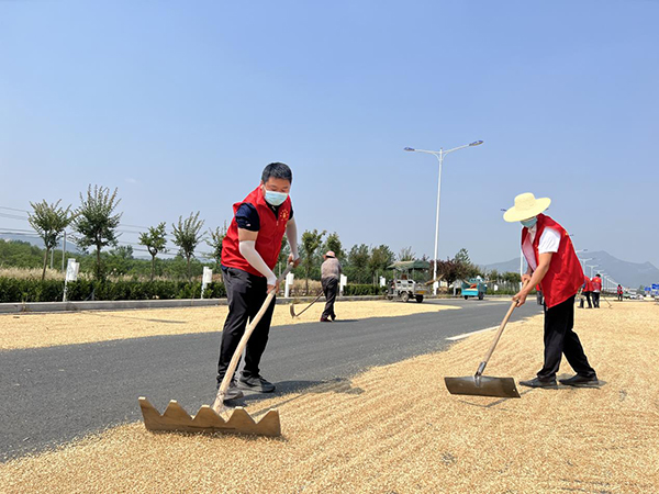 驻马店市驿城区朱古洞乡:“今年收麦不用返乡了”休闲区蓝鸢梦想 - Www.slyday.coM 驻马店市驿城区朱古洞乡:“今年收麦不用返乡了”休闲区蓝鸢梦想 - Www.slyday.coM