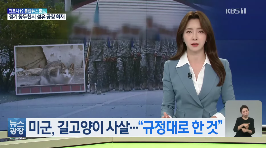 韩国电视台报道截图