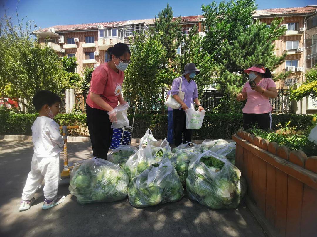 暖心团购!田大爷“困”在地里的两万棵生菜全卖出去了休闲区蓝鸢梦想 - Www.slyday.coM 暖心团购!田大爷“困”在地里的两万棵生菜全卖出去了休闲区蓝鸢梦想 - Www.slyday.coM