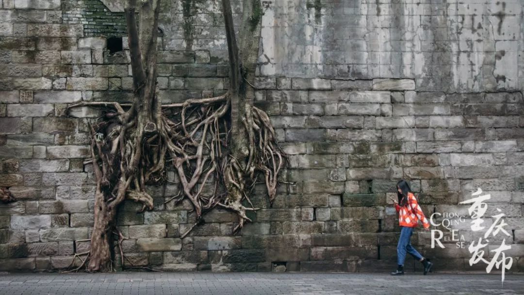 《少年的你》拍攝地中山四路(資料圖)。鄒樂 攝