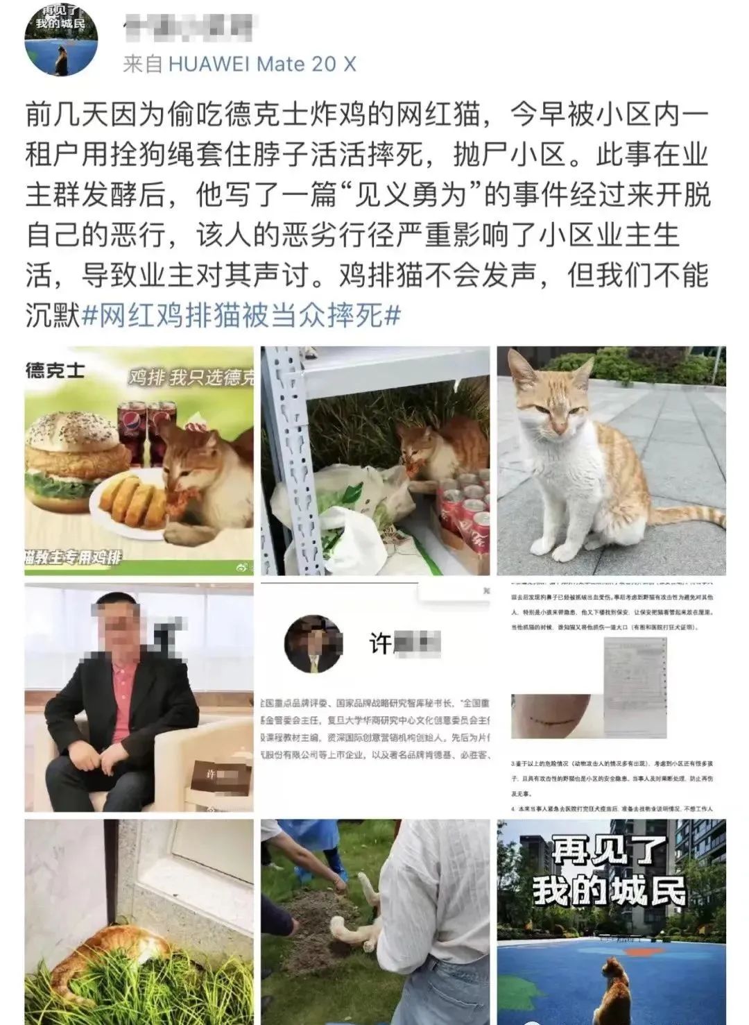 交大博士未戴手套逗猫被处分?校方回应!因疫情走红的“鸡排猫”被租客虐杀?警方介入!休闲区蓝鸢梦想 - Www.slyday.coM 交大博士未戴手套逗猫被处分?校方回应!因疫情走红的“鸡排猫”被租客虐杀?警方介入!休闲区蓝鸢梦想 - Www.slyday.coM