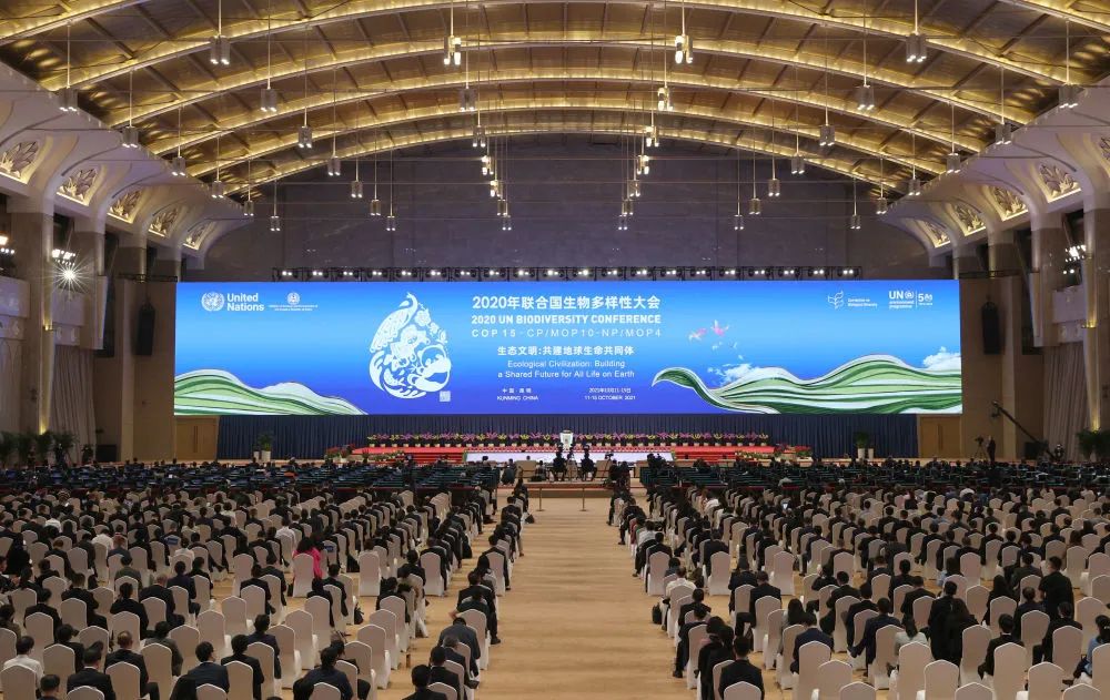《生物多样性公约》第十五次缔约方大会领导人峰会在云南昆明举行 金立旺 摄