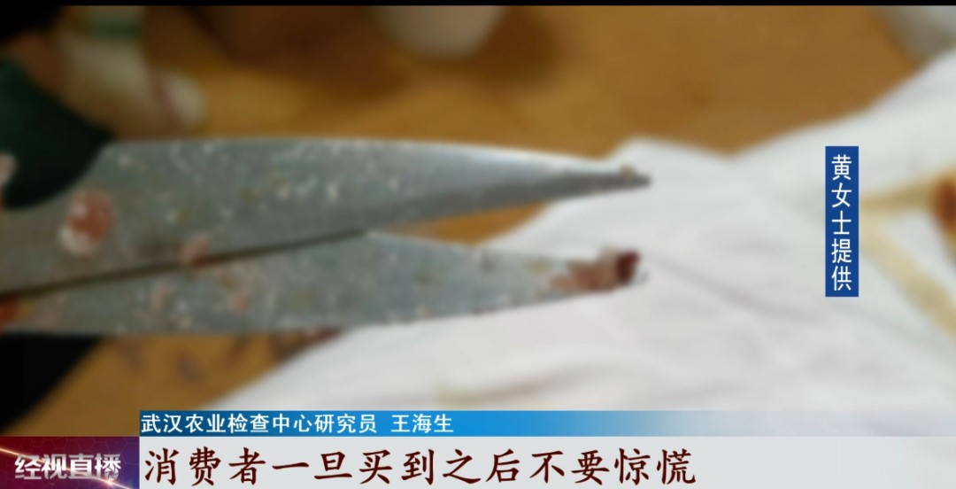 女子网购活鱼长红斑,疑似有虫子蠕动?专家解释......休闲区蓝鸢梦想 - Www.slyday.coM 女子网购活鱼长红斑,疑似有虫子蠕动?专家解释......休闲区蓝鸢梦想 - Www.slyday.coM