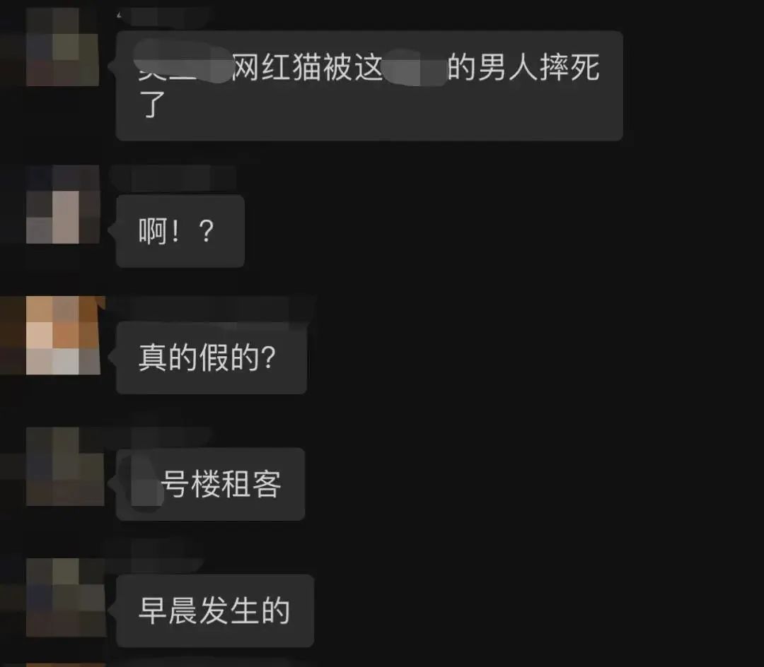 交大博士未戴手套逗猫被处分?校方回应!因疫情走红的“鸡排猫”被租客虐杀?警方介入!休闲区蓝鸢梦想 - Www.slyday.coM 交大博士未戴手套逗猫被处分?校方回应!因疫情走红的“鸡排猫”被租客虐杀?警方介入!休闲区蓝鸢梦想 - Www.slyday.coM