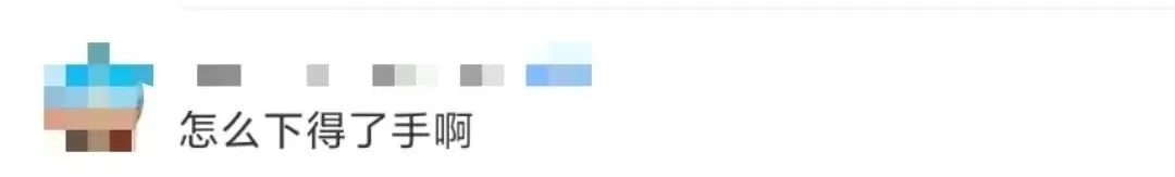 交大博士未戴手套逗猫被处分?校方回应!因疫情走红的“鸡排猫”被租客虐杀?警方介入!休闲区蓝鸢梦想 - Www.slyday.coM 交大博士未戴手套逗猫被处分?校方回应!因疫情走红的“鸡排猫”被租客虐杀?警方介入!休闲区蓝鸢梦想 - Www.slyday.coM