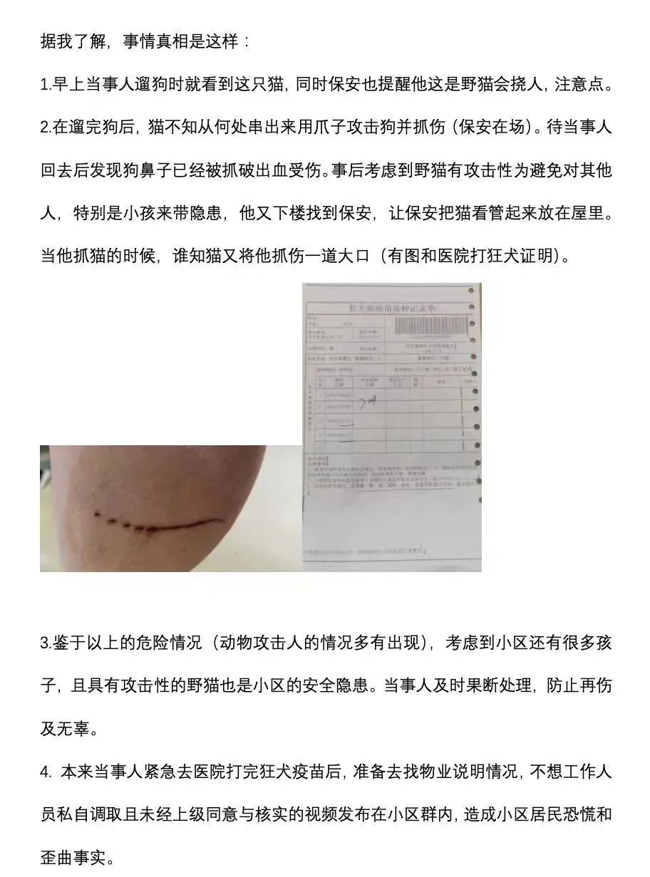 交大博士未戴手套逗猫被处分?校方回应!因疫情走红的“鸡排猫”被租客虐杀?警方介入!休闲区蓝鸢梦想 - Www.slyday.coM 交大博士未戴手套逗猫被处分?校方回应!因疫情走红的“鸡排猫”被租客虐杀?警方介入!休闲区蓝鸢梦想 - Www.slyday.coM