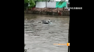 揪心!27岁女子开车掉进河,求救半小时仍被淹死,生前最后视频令全网唏嘘……休闲区蓝鸢梦想 - Www.slyday.coM 揪心!27岁女子开车掉进河,求救半小时仍被淹死,生前最后视频令全网唏嘘……休闲区蓝鸢梦想 - Www.slyday.coM