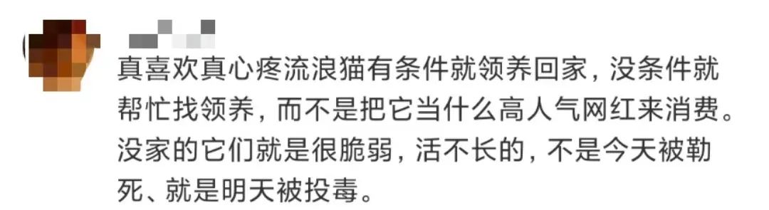 交大博士未戴手套逗猫被处分?校方回应!因疫情走红的“鸡排猫”被租客虐杀?警方介入!休闲区蓝鸢梦想 - Www.slyday.coM 交大博士未戴手套逗猫被处分?校方回应!因疫情走红的“鸡排猫”被租客虐杀?警方介入!休闲区蓝鸢梦想 - Www.slyday.coM