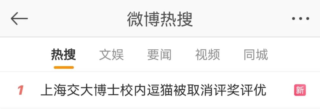 学生因校内逗流浪猫被处分?上海交大回应…休闲区蓝鸢梦想 - Www.slyday.coM 学生因校内逗流浪猫被处分?上海交大回应…休闲区蓝鸢梦想 - Www.slyday.coM