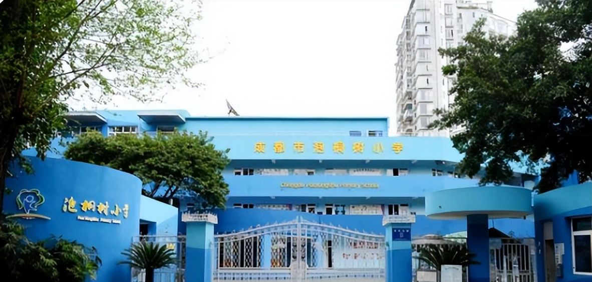 重磅成都52各区优质小学有哪些排名如何你家娃在读吗