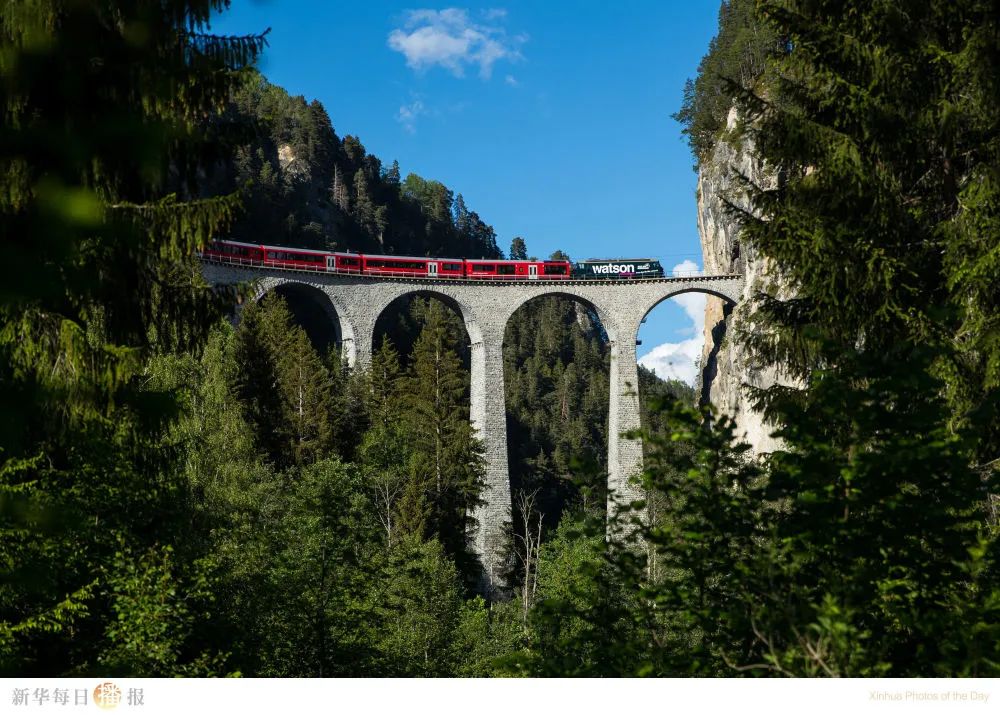 中国旅马大熊猫“靓靓”的第三只宝宝有名字了丨一周看天下休闲区蓝鸢梦想 - Www.slyday.coM 中国旅马大熊猫“靓靓”的第三只宝宝有名字了丨一周看天下休闲区蓝鸢梦想 - Www.slyday.coM