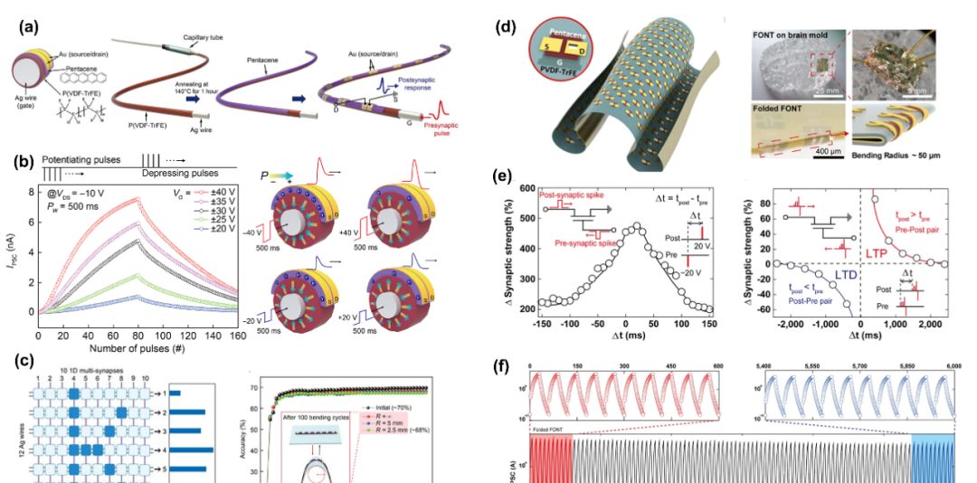 Appl.Phys.Rev.：铁电聚合物在神经形态计算中的应用晶体管突触聚合物_新浪新闻