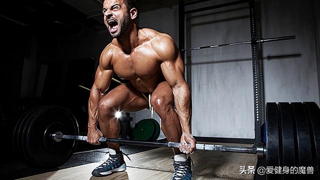 安心减脂还不掉肌肉?原来一点也不难休闲区蓝鸢梦想 - Www.slyday.coM 安心减脂还不掉肌肉?原来一点也不难休闲区蓝鸢梦想 - Www.slyday.coM