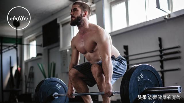 安心减脂还不掉肌肉?原来一点也不难休闲区蓝鸢梦想 - Www.slyday.coM 安心减脂还不掉肌肉?原来一点也不难休闲区蓝鸢梦想 - Www.slyday.coM