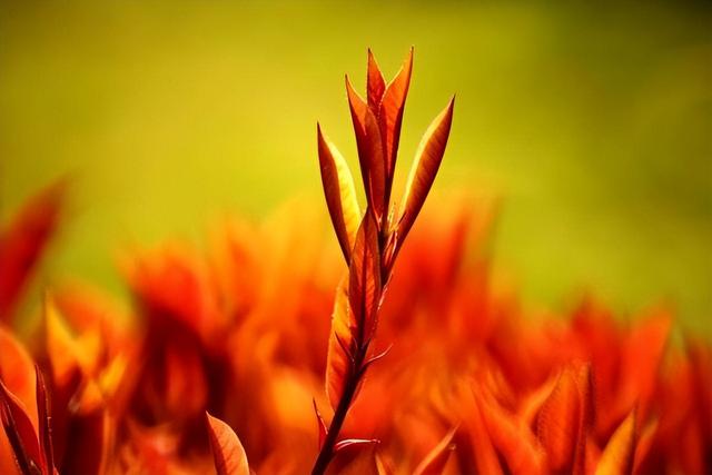 “有人帮你带孩子还不好?”“我宁愿身累,也不愿意婆婆帮忙”休闲区蓝鸢梦想 - Www.slyday.coM “有人帮你带孩子还不好?”“我宁愿身累,也不愿意婆婆帮忙”休闲区蓝鸢梦想 - Www.slyday.coM