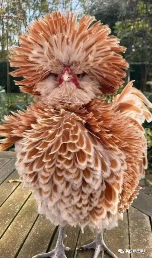 时而奇怪,时而奇妙…大自然这波“鬼斧神工”的造物,看得让人惊叹!休闲区蓝鸢梦想 - Www.slyday.coM 时而奇怪,时而奇妙…大自然这波“鬼斧神工”的造物,看得让人惊叹!休闲区蓝鸢梦想 - Www.slyday.coM