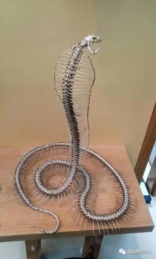 时而奇怪,时而奇妙…大自然这波“鬼斧神工”的造物,看得让人惊叹!休闲区蓝鸢梦想 - Www.slyday.coM 时而奇怪,时而奇妙…大自然这波“鬼斧神工”的造物,看得让人惊叹!休闲区蓝鸢梦想 - Www.slyday.coM