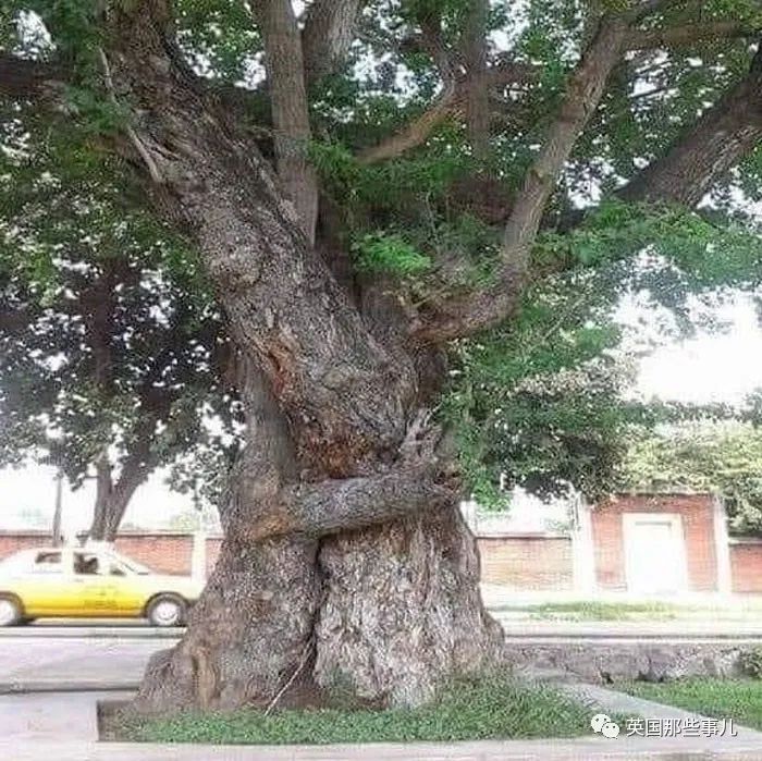 时而奇怪,时而奇妙…大自然这波“鬼斧神工”的造物,看得让人惊叹!休闲区蓝鸢梦想 - Www.slyday.coM 时而奇怪,时而奇妙…大自然这波“鬼斧神工”的造物,看得让人惊叹!休闲区蓝鸢梦想 - Www.slyday.coM