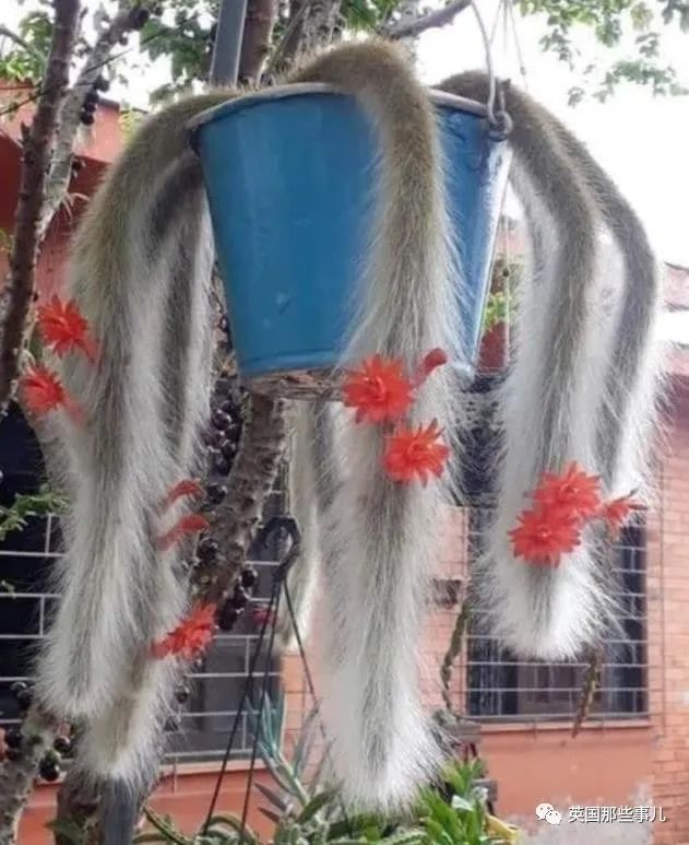 时而奇怪,时而奇妙…大自然这波“鬼斧神工”的造物,看得让人惊叹!休闲区蓝鸢梦想 - Www.slyday.coM 时而奇怪,时而奇妙…大自然这波“鬼斧神工”的造物,看得让人惊叹!休闲区蓝鸢梦想 - Www.slyday.coM