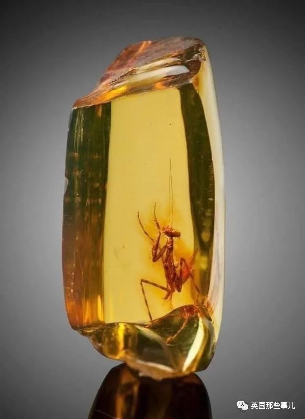 时而奇怪,时而奇妙…大自然这波“鬼斧神工”的造物,看得让人惊叹!休闲区蓝鸢梦想 - Www.slyday.coM 时而奇怪,时而奇妙…大自然这波“鬼斧神工”的造物,看得让人惊叹!休闲区蓝鸢梦想 - Www.slyday.coM