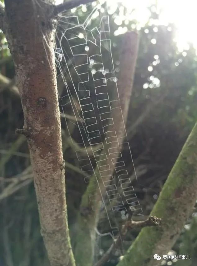 时而奇怪,时而奇妙…大自然这波“鬼斧神工”的造物,看得让人惊叹!休闲区蓝鸢梦想 - Www.slyday.coM 时而奇怪,时而奇妙…大自然这波“鬼斧神工”的造物,看得让人惊叹!休闲区蓝鸢梦想 - Www.slyday.coM