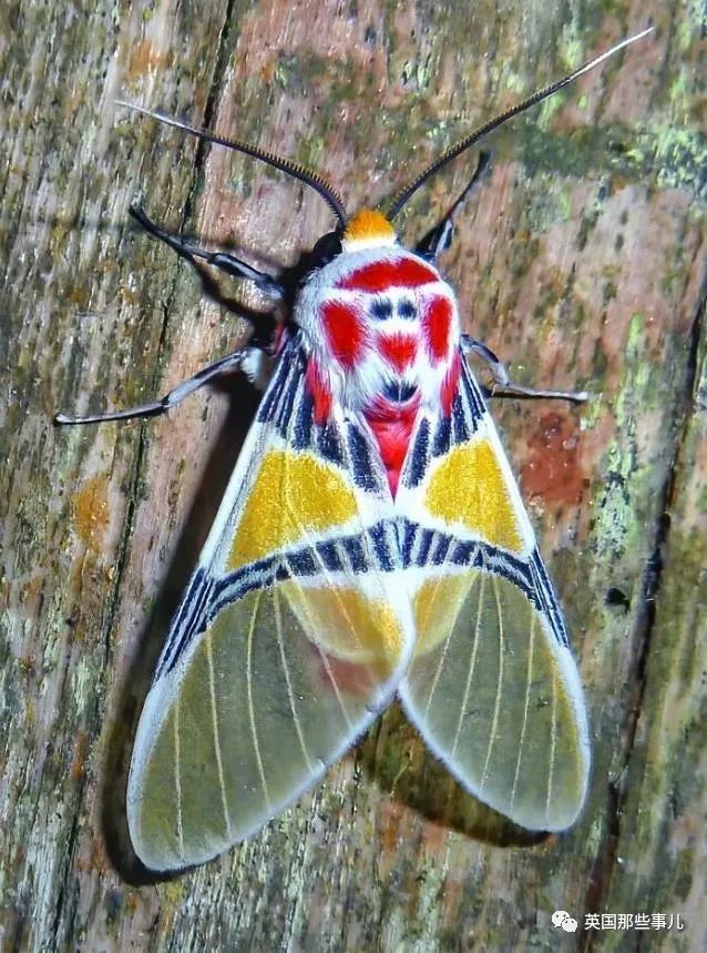 时而奇怪,时而奇妙…大自然这波“鬼斧神工”的造物,看得让人惊叹!休闲区蓝鸢梦想 - Www.slyday.coM 时而奇怪,时而奇妙…大自然这波“鬼斧神工”的造物,看得让人惊叹!休闲区蓝鸢梦想 - Www.slyday.coM