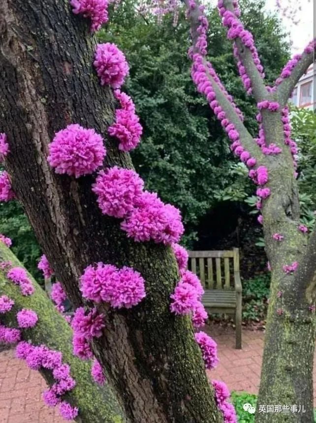 时而奇怪,时而奇妙…大自然这波“鬼斧神工”的造物,看得让人惊叹!休闲区蓝鸢梦想 - Www.slyday.coM 时而奇怪,时而奇妙…大自然这波“鬼斧神工”的造物,看得让人惊叹!休闲区蓝鸢梦想 - Www.slyday.coM