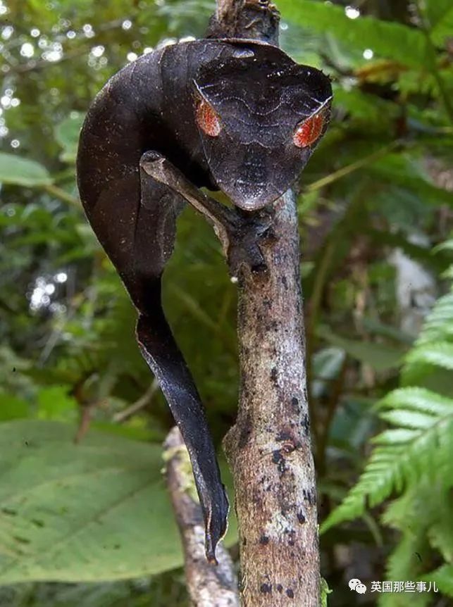 时而奇怪,时而奇妙…大自然这波“鬼斧神工”的造物,看得让人惊叹!休闲区蓝鸢梦想 - Www.slyday.coM 时而奇怪,时而奇妙…大自然这波“鬼斧神工”的造物,看得让人惊叹!休闲区蓝鸢梦想 - Www.slyday.coM