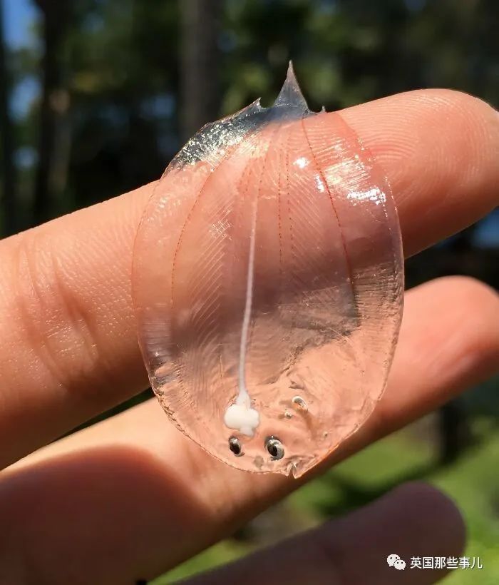 时而奇怪,时而奇妙…大自然这波“鬼斧神工”的造物,看得让人惊叹!休闲区蓝鸢梦想 - Www.slyday.coM 时而奇怪,时而奇妙…大自然这波“鬼斧神工”的造物,看得让人惊叹!休闲区蓝鸢梦想 - Www.slyday.coM