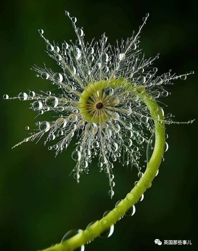 时而奇怪,时而奇妙…大自然这波“鬼斧神工”的造物,看得让人惊叹!休闲区蓝鸢梦想 - Www.slyday.coM 时而奇怪,时而奇妙…大自然这波“鬼斧神工”的造物,看得让人惊叹!休闲区蓝鸢梦想 - Www.slyday.coM