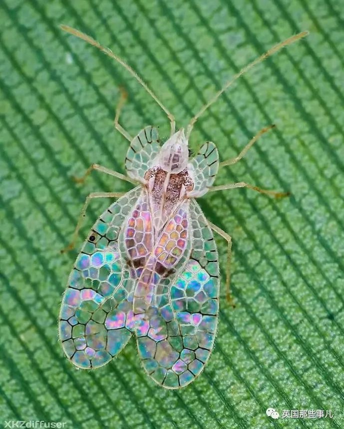 时而奇怪,时而奇妙…大自然这波“鬼斧神工”的造物,看得让人惊叹!休闲区蓝鸢梦想 - Www.slyday.coM 时而奇怪,时而奇妙…大自然这波“鬼斧神工”的造物,看得让人惊叹!休闲区蓝鸢梦想 - Www.slyday.coM