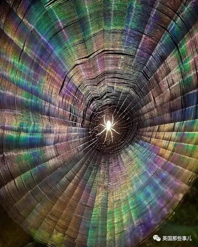 时而奇怪,时而奇妙…大自然这波“鬼斧神工”的造物,看得让人惊叹!休闲区蓝鸢梦想 - Www.slyday.coM 时而奇怪,时而奇妙…大自然这波“鬼斧神工”的造物,看得让人惊叹!休闲区蓝鸢梦想 - Www.slyday.coM