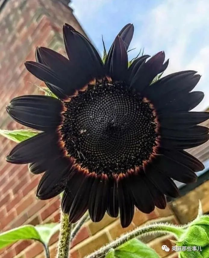 时而奇怪,时而奇妙…大自然这波“鬼斧神工”的造物,看得让人惊叹!休闲区蓝鸢梦想 - Www.slyday.coM 时而奇怪,时而奇妙…大自然这波“鬼斧神工”的造物,看得让人惊叹!休闲区蓝鸢梦想 - Www.slyday.coM