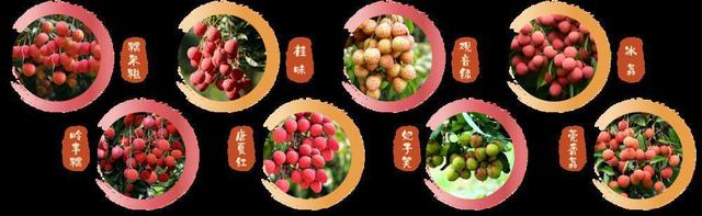 东莞“莞荔天团”强势亮相,原来是这八个“美女帅哥”休闲区蓝鸢梦想 - Www.slyday.coM 东莞“莞荔天团”强势亮相,原来是这八个“美女帅哥”休闲区蓝鸢梦想 - Www.slyday.coM