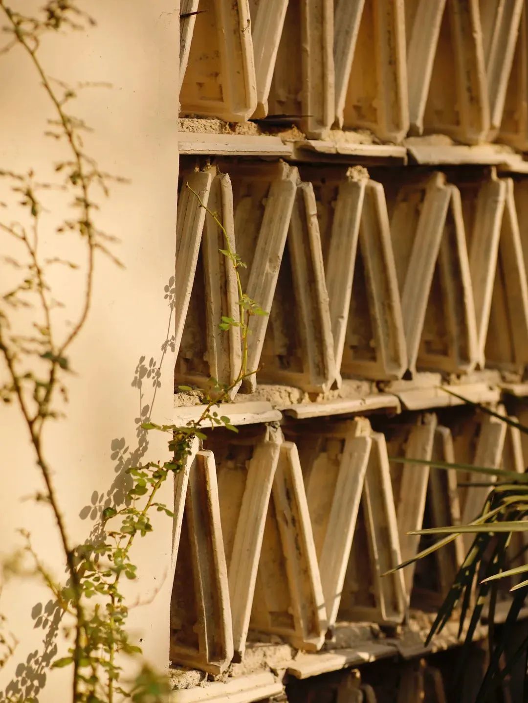 95后姐妹花5万爆改500㎡农村小院,美得网友直呼想回村休闲区蓝鸢梦想 - Www.slyday.coM 95后姐妹花5万爆改500㎡农村小院,美得网友直呼想回村休闲区蓝鸢梦想 - Www.slyday.coM