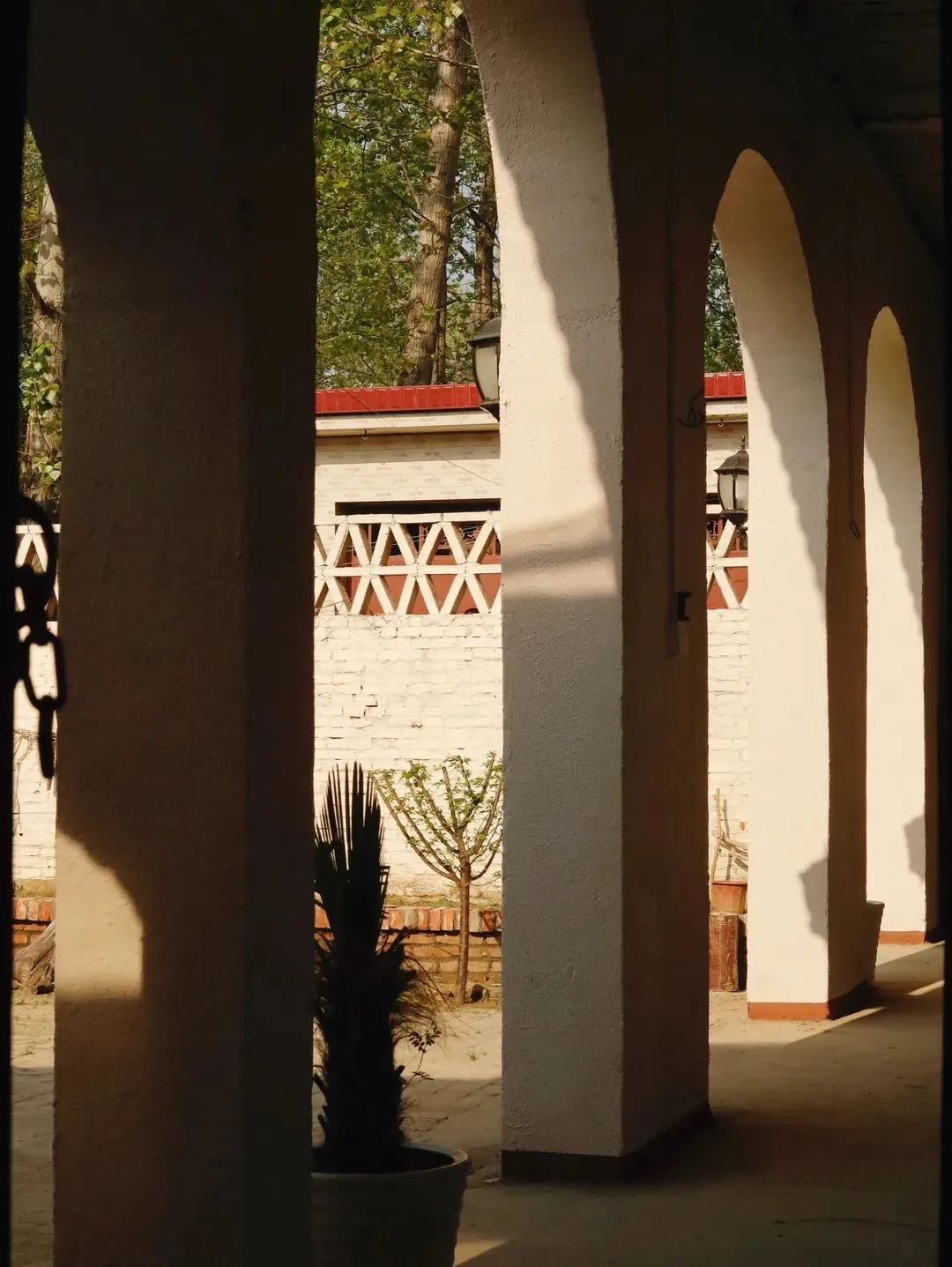 95后姐妹花5万爆改500㎡农村小院,美得网友直呼想回村休闲区蓝鸢梦想 - Www.slyday.coM 95后姐妹花5万爆改500㎡农村小院,美得网友直呼想回村休闲区蓝鸢梦想 - Www.slyday.coM